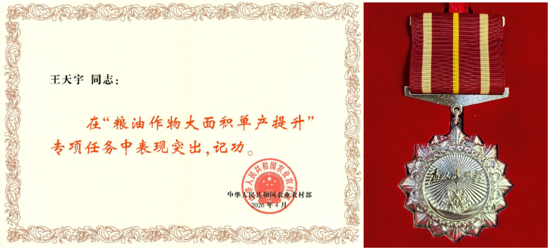 五月天证书.png