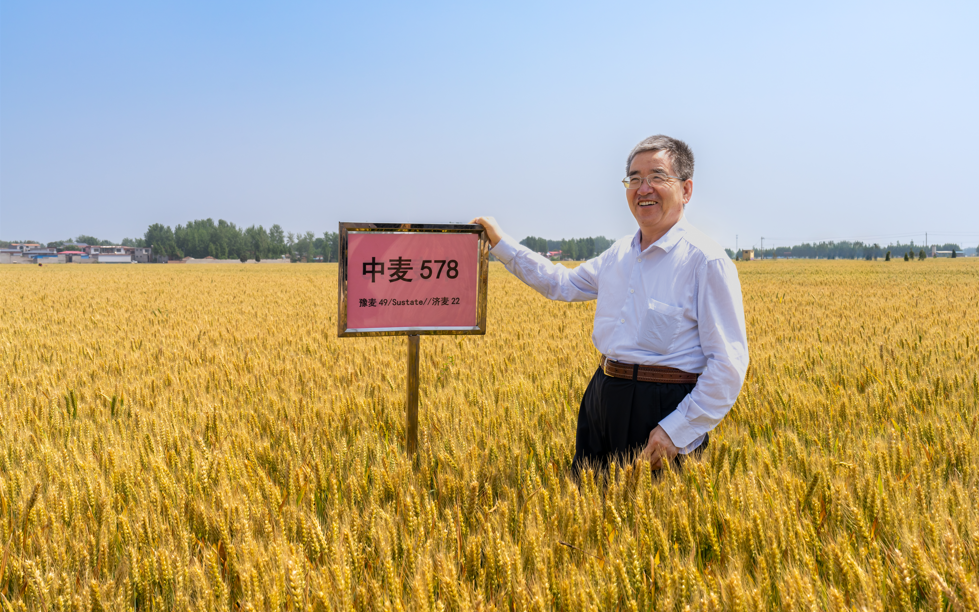 1bee1ebf-5696-449b-9b47-3d8d67e03427.png