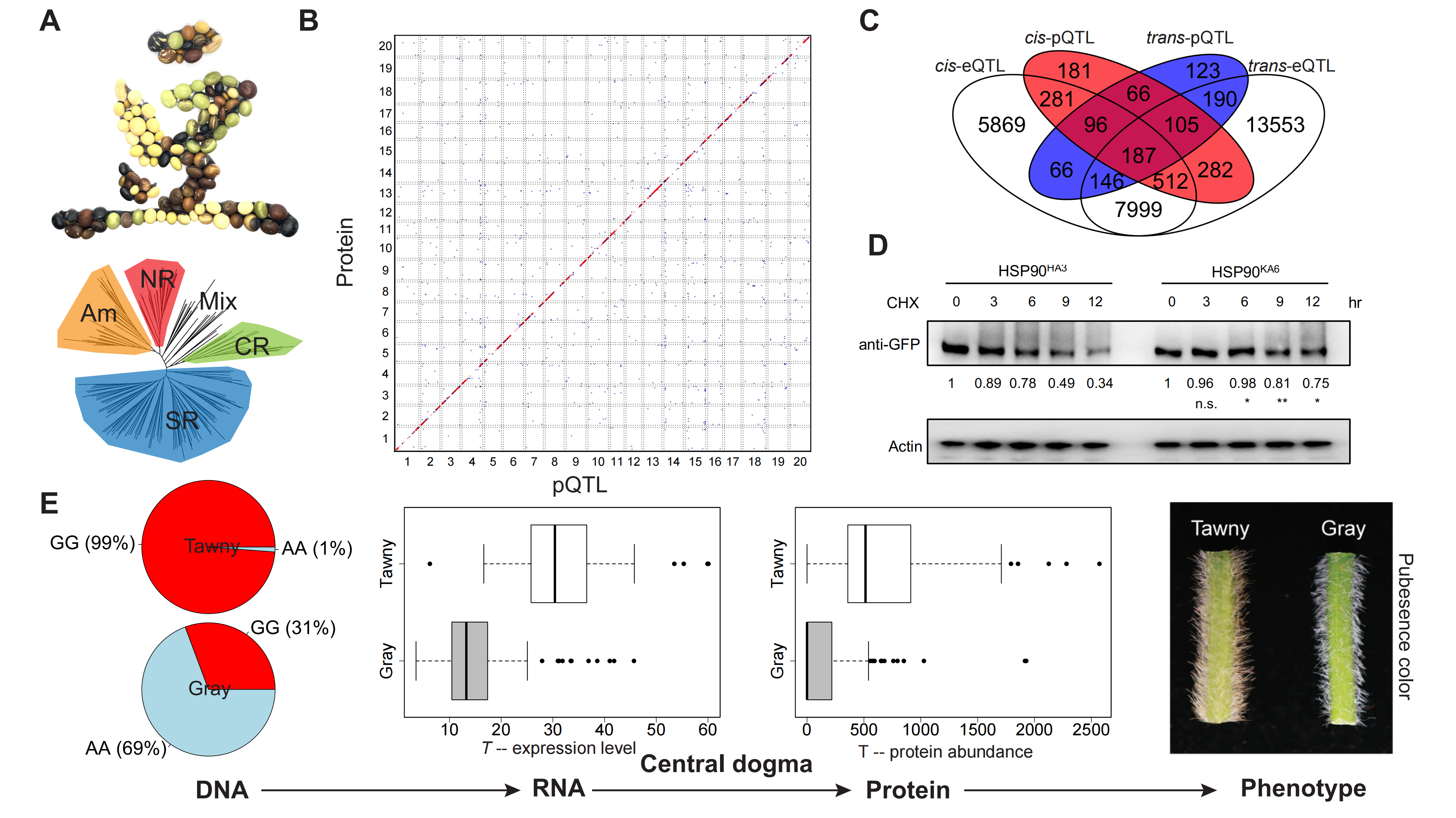 Fig1-CAAS_01.png