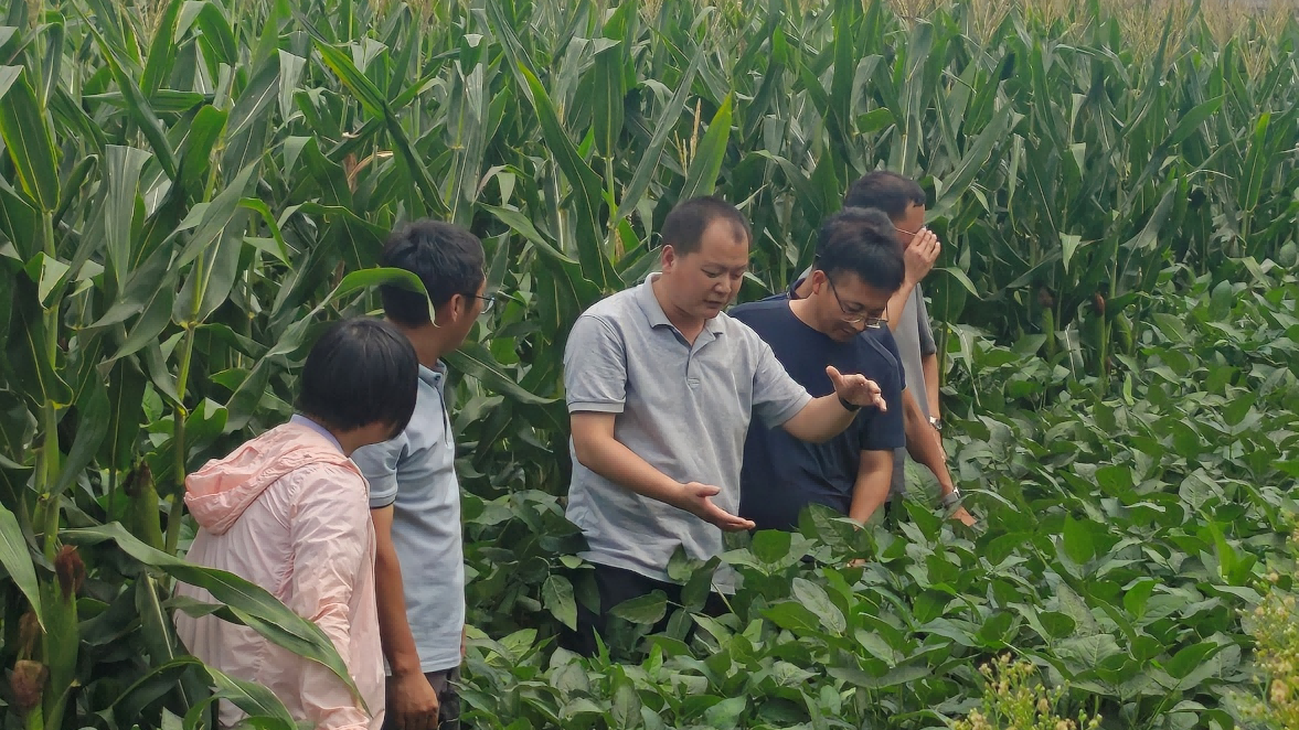 简报-10(1).png