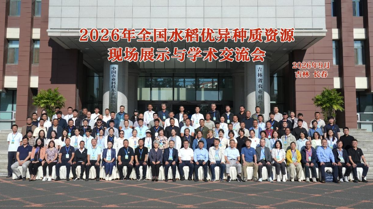 长春-1(1).png