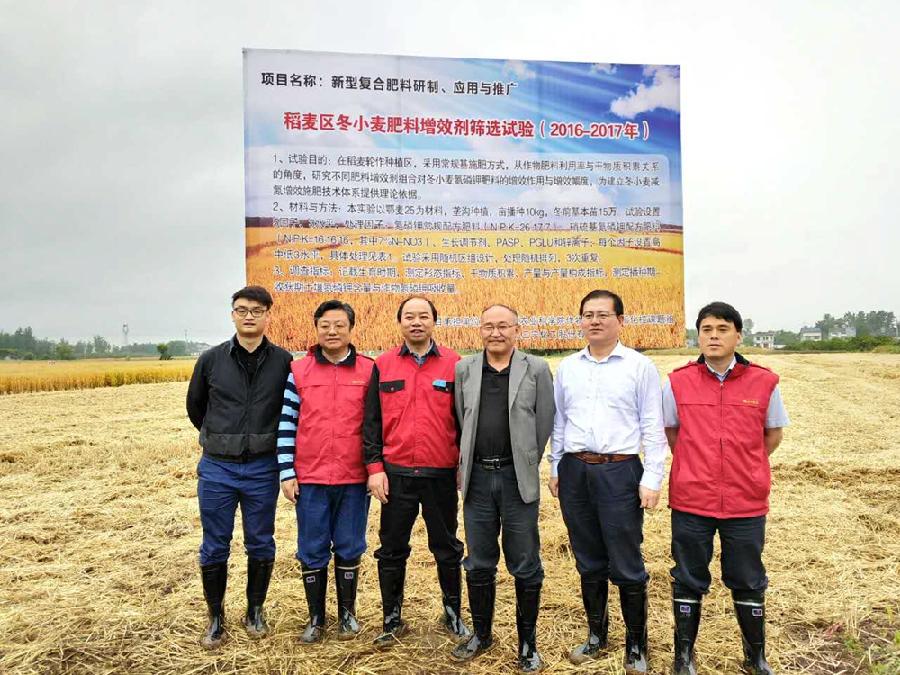 image003.jpg image003.jpg