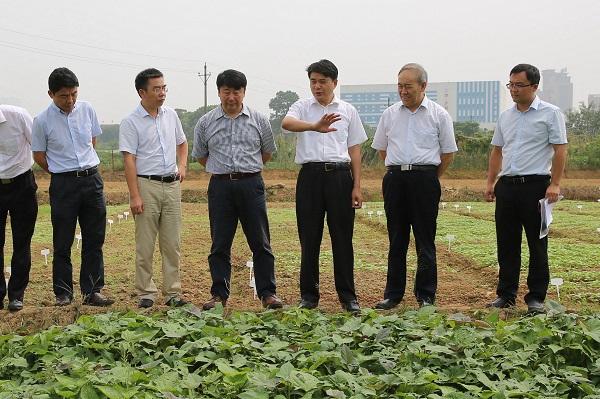 刘旭院士视察湖南省农科院作物研究所资源繁殖基地.JPG