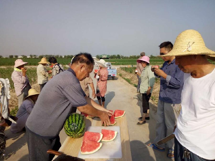 image013.jpg image013.jpg