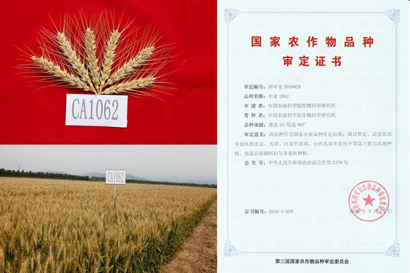 2013北京 100_副本_副本.jpg 2013北京 100_副本_副本.jpg