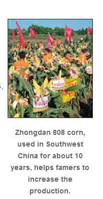 111111.jpg 111111.jpg