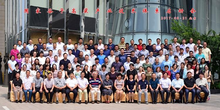 谷子1.jpg 谷子1.jpg