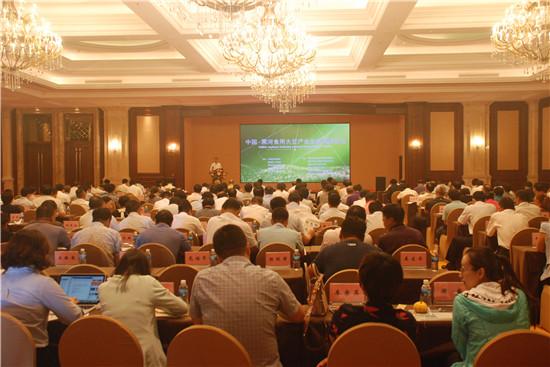 大豆1.jpg 大豆1.jpg