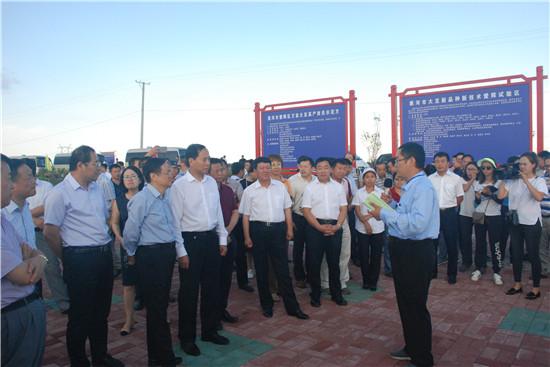 大豆2.jpg 大豆2.jpg