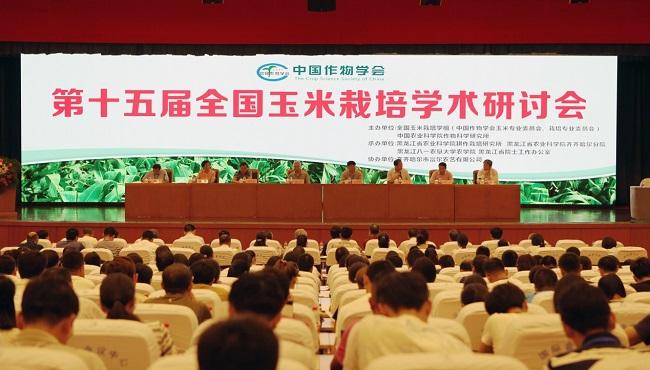 今日1.jpg 今日1.jpg