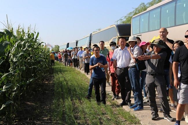 今日2.jpg 今日2.jpg