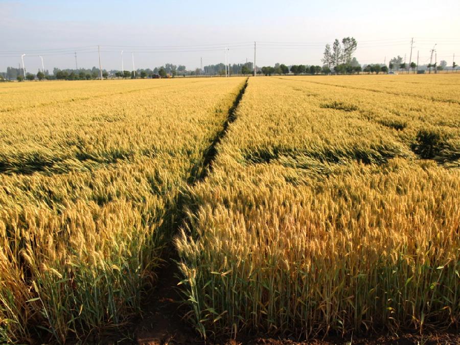 image003.jpg image003.jpg