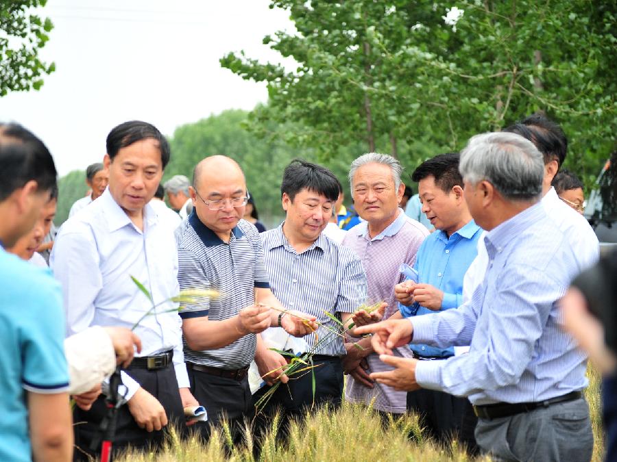 DSC_3574_副本.jpg DSC_3574_副本.jpg