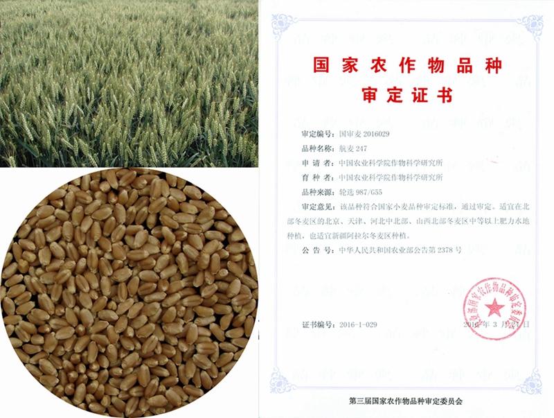 光影魔术手拼图_副本_副本.jpg 光影魔术手拼图_副本_副本.jpg